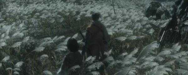 只狼水生村在哪