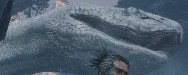 只狼白蛇不见了