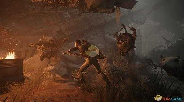 《遗迹：灰烬重生》艾兹兰的指环效果介绍