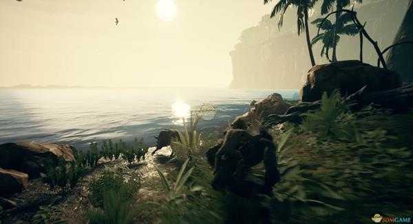 《先祖：人类奥德赛》翡翠位置分享