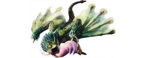 怪物猎人毒妖鸟位置