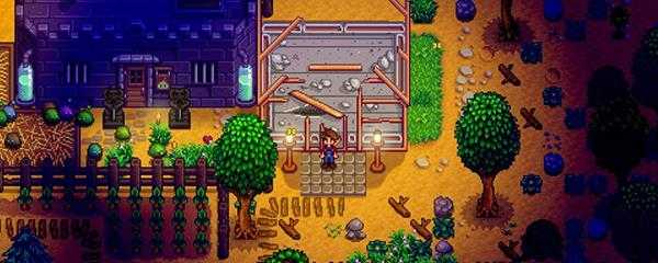 星露谷物语女巫任务