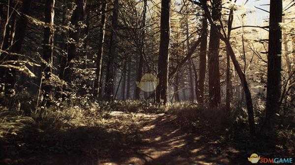 《布莱尔女巫》特殊结局触发方法分享