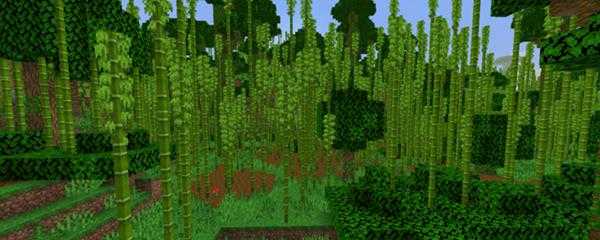 我的世界竹林在哪里