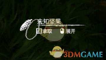 《绿色地狱》坚果食用效果一览