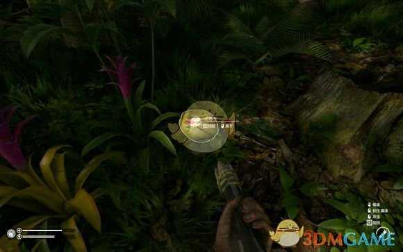 《绿色地狱》椰子食用效果一览