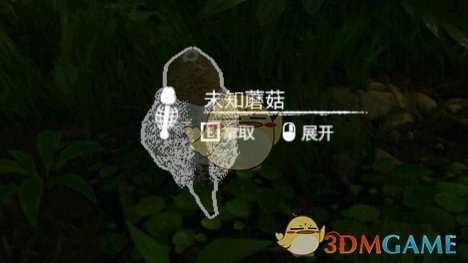 《绿色地狱》白蘑菇食用效果一览