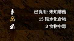 《绿色地狱》白蘑菇食用效果一览