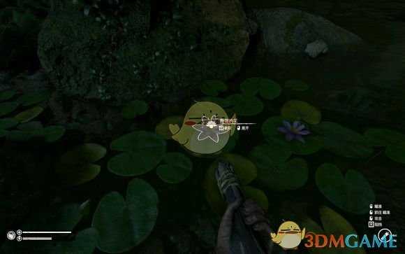 《绿色地狱》睡莲花食用效果一览