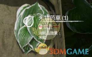 《绿色地狱》百合叶食用效果一览