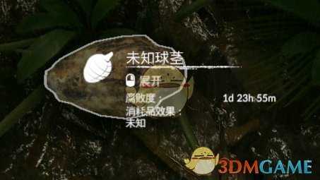 《绿色地狱》山芋食用效果一览