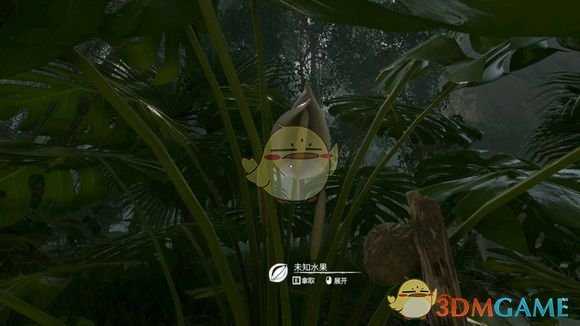 《绿色地狱》龟背竹果食用效果一览