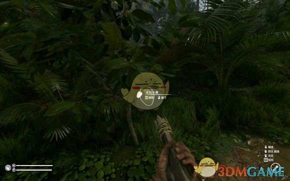 《绿色地狱》鳄梨食用效果一览