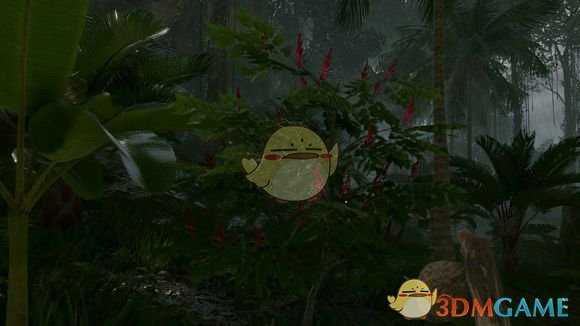 《绿色地狱》苦木花食用效果一览