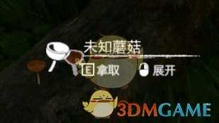 《绿色地狱》红蘑菇食用效果一览