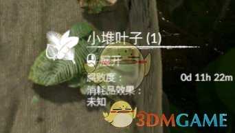 《绿色地狱》小堆叶子食用效果一览