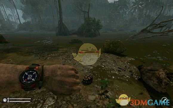 《绿色地狱》红脚乌龟食用效果一览