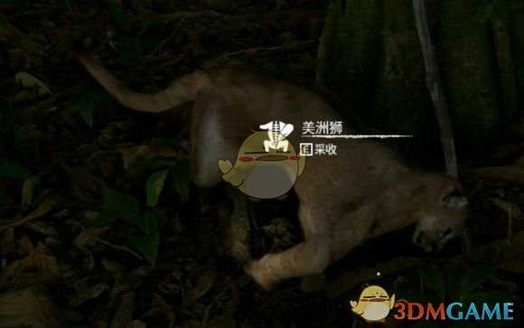 《绿色地狱》美洲狮食用效果一览