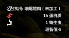 《绿色地狱》南美洲响尾蛇食用效果一览