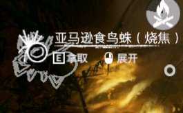 《绿色地狱》亚马逊食鸟蛛食用效果一览