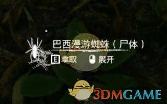 《绿色地狱》巴西漫游蜘蛛食用效果一览