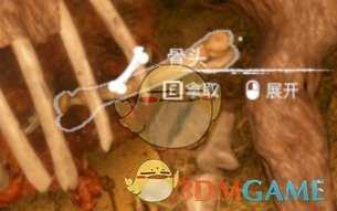 《绿色地狱》骨头食用效果一览