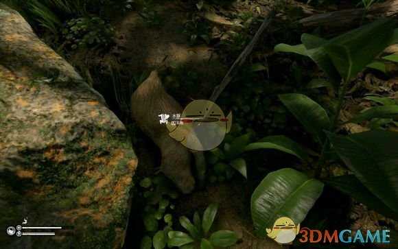 《绿色地狱》水豚食用效果一览