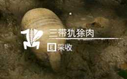 《绿色地狱》三带犰狳食用效果一览