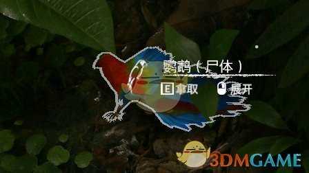 《绿色地狱》金刚鹦鹉食用效果一览