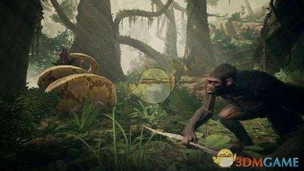 《先祖：人类奥德赛》木棉寻找方法分享