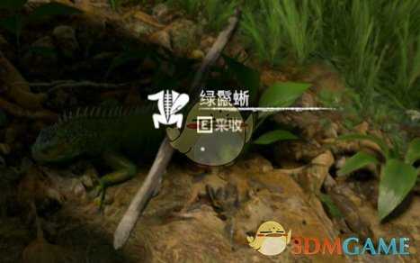 《绿色地狱》绿鬣蜥食用效果一览
