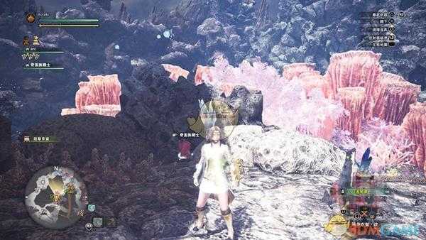 《怪物猎人：世界》宝藏传说的骑士09位置攻略