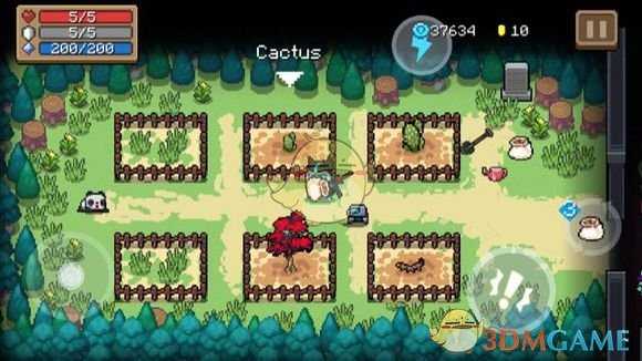 《元气骑士》仙人掌介绍 属性及获得方式一览