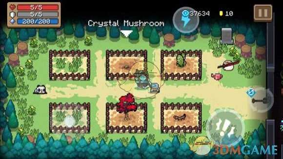 《元气骑士》水晶蘑菇介绍 属性及获得方式一览