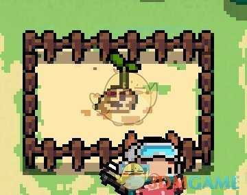 《元气骑士》曼德拉草介绍 属性及获得方式一览