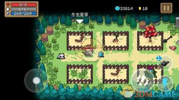 《元气骑士》冬虫夏草介绍 属性及获得方式一览