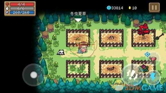 《元气骑士》冬虫夏草介绍 属性及获得方式一览