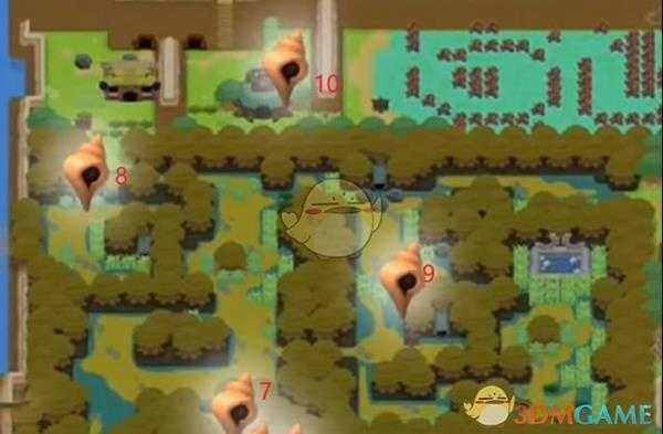 《塞尔达传说：织梦岛》不可思议森林+果彭加沼泽贝壳收集地点介绍