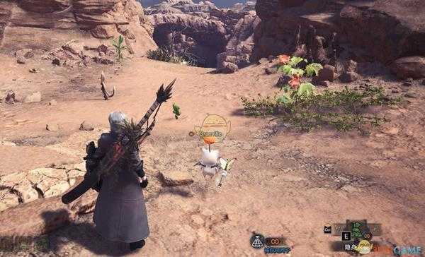 《怪物猎人：世界》幼小仙人掌出现位置介绍