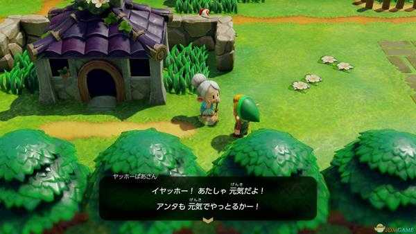 《塞尔达传说：织梦岛》笛子获取位置分享