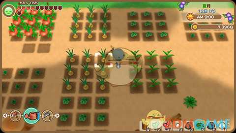 《牧场物语：重聚矿石镇》种植农作物