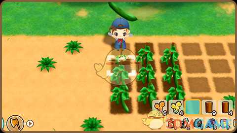 《牧场物语：重聚矿石镇》收获的方式