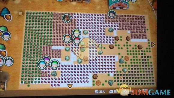 《牧场物语：重聚矿石镇》快速收获小技巧