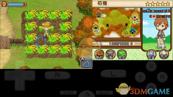 《牧场物语双子村》杰西卡角色介绍