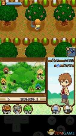 《牧场物语双子村》卢乔角色介绍