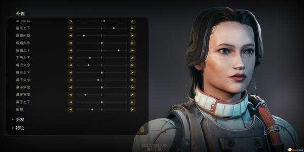 《天外世界》银发女骑士脸捏脸数据分享