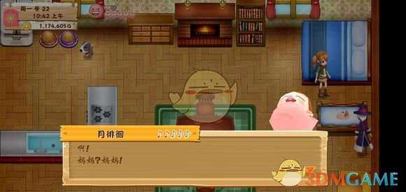 《牧场物语：希望之光》婚后剧情介绍