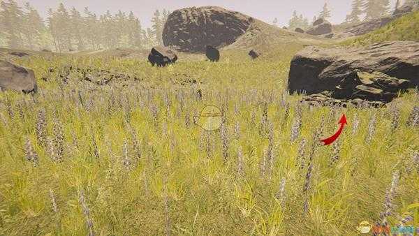 《森林》死亡洞穴（Dead cave）武士刀洞穴内部地图及盘点