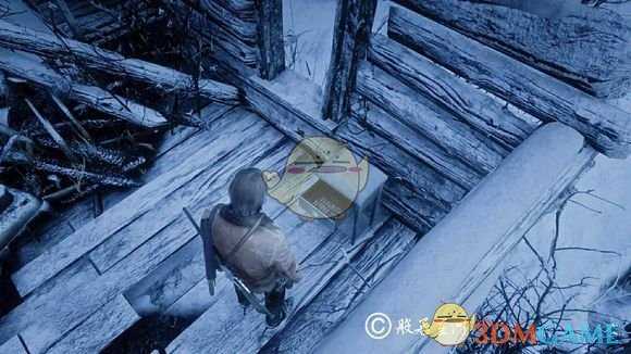 《荒野大镖客2》作弊代码一览