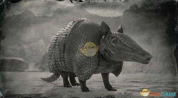 《荒野大镖客2》九带犰狳图鉴一览